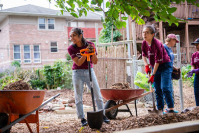 CAPP and Harris students working in garden at service event during Orientation Week